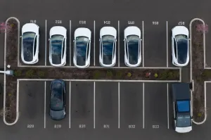 Global EV sales to make up 30% of the market this year