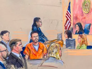 WHCA dinner gunman pleads not guilty to attempted Trump assassination charges