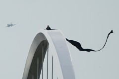 Frederick Douglass bridge protester climbs down after five days in the sky