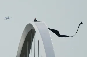 Frederick Douglass bridge protester climbs down after five days in the sky