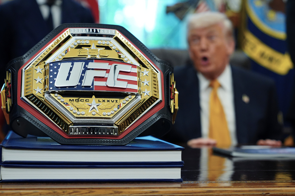 Trump gives first look at UFC 250 arena planned for White House lawn