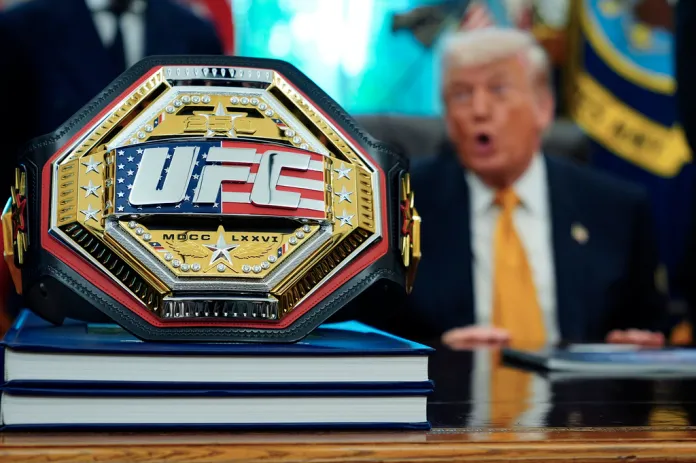 Trump gives first look at UFC 250 arena planned for White House lawn