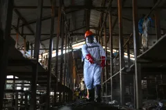 Uganda closes border with Congo after surge of rare Ebola cases