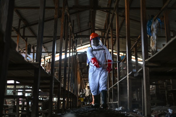 Uganda closes border with Congo after surge of rare Ebola cases