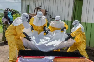 WHO reports five recoveries from rare Ebola strain