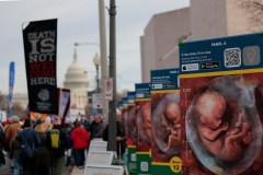 Abortion pill case is, in fact, the win pro-lifers think it is