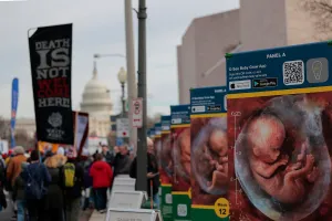 Abortion pill case is, in fact, the win pro-lifers think it is