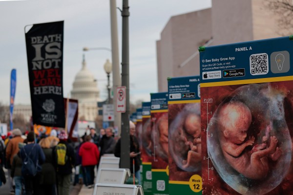 Abortion pill case is, in fact, the win pro-lifers think it is