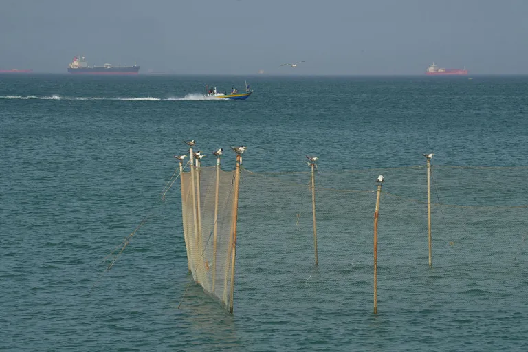 Seagulls settle on poles as boats navigate the sea on April 28, 2026 on Qeshm Island, Iran in the Strait of Hormuz. Iran's latest proposal for ending its blockade of the Strait of Hormuz calls on the United States to end its naval blockade of Iran's ports, and sets aside questions about what to do with Iran's nuclear program. The United States has not formally responded to the latest proposal, which was delivered by Iran's foreign minister to Pakistan two days ago. (Photo by Asghar Besharati/Getty Images)