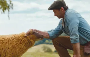 Counting sheep is better than watching ‘The Sheep Detectives’