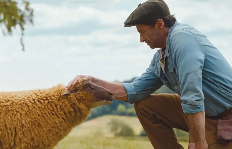 Hugh Jackman in The Sheep Detectives (Courtesy of Amazon MGM Studios)