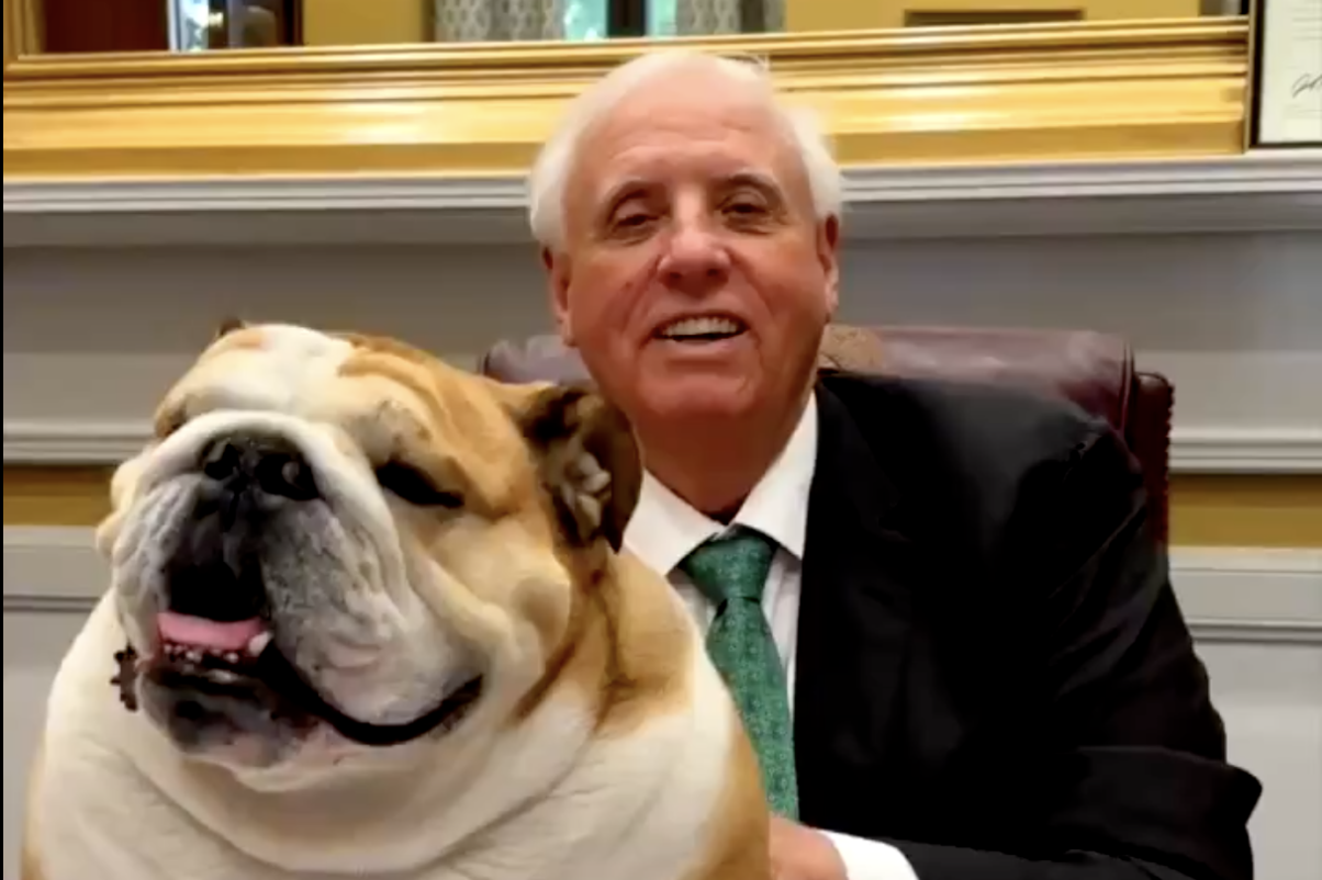 ‘Babydog Justice’ back from surgery and feeling ‘paws-atively better’