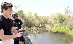 Streamer Clavicular facing criminal charges after shooting alligator