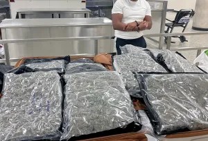 57 pounds of marijuana worth $220,000 found in Maryland man and woman’s suitcase at Dulles Airport