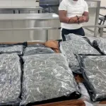 57 pounds of marijuana worth $220,000 found in Maryland man and woman’s suitcase at Dulles Airport