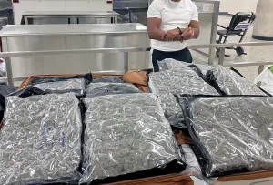 57 pounds of marijuana worth $220,000 found in Maryland man and woman’s suitcase at Dulles Airport