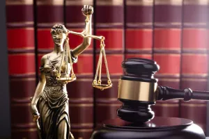 Plaintiffs’ bar v. Sanity: The fight for effective tort reform