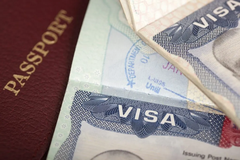 Eliminating fraud will not fix OPT