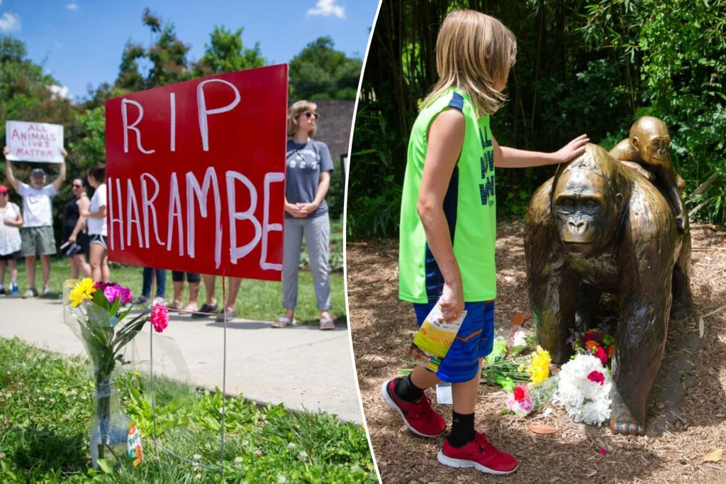 washingtonexaminer.com - Britta Miller - White House shares tribute to gorilla legend Harambe