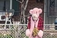 Police search for pink costumed suspect in Virginia