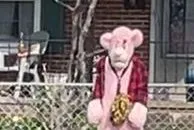 Police search for pink costumed suspect in Virginia