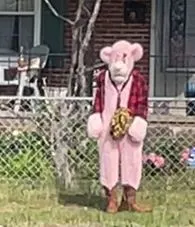 Photo of a pink costumed suspect who allegedly targeted children.