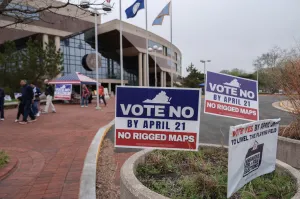 ‘Democrats made a massive tactical error’ in redistricting: Sarah Bedford