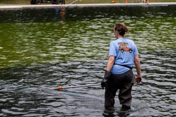 Worker cleans algae from the Lincoln Memorial Reflecting Pool.