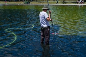 Trump says ‘criminally made’ algae purged from Reflecting Pool