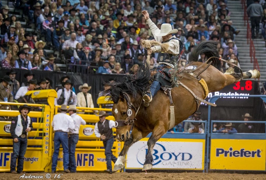 Washington prepares for America 250 rodeo takeover on National Mall: ‘Something DC has never done’
