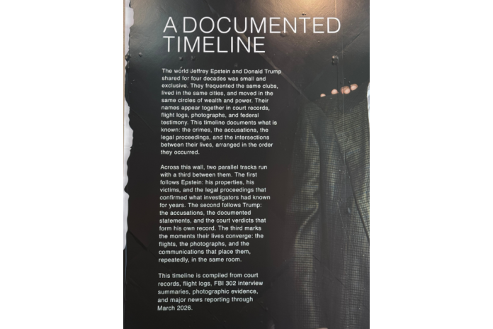 The description of the "Trump & Epstein Through the Years" exhibit by the Institute for Primary Facts.