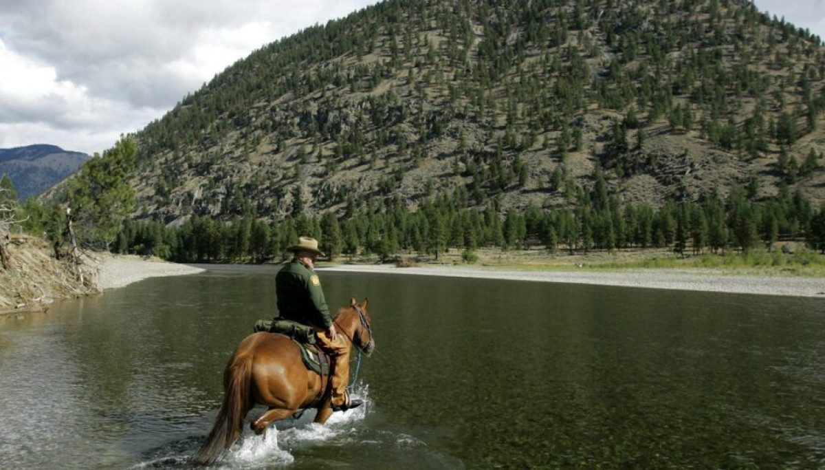 Is US-Canada border secure? Border Patrol official testifies ‘no’