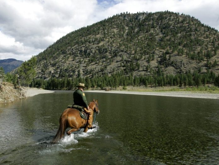 Is US-Canada border secure? Border Patrol official testifies ‘no’