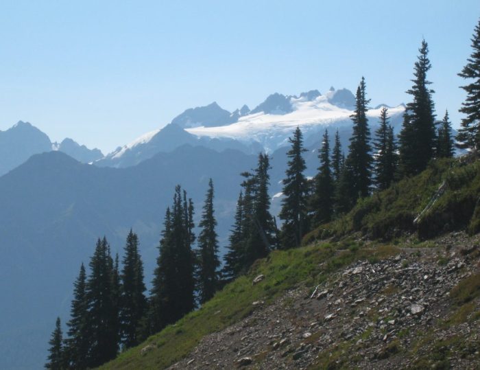 Human remains found in sleeping bag in Olympic National Park 26 years ago finally identified
