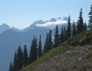 Human remains found in sleeping bag in Olympic National Park 26 years ago finally identified