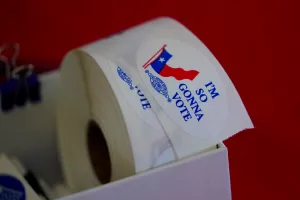 Texas elections chief steps down ahead of midterm elections