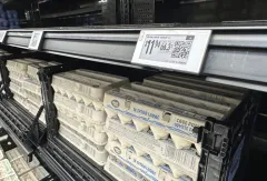 DOJ sues egg producer over ‘manipulated’ prices