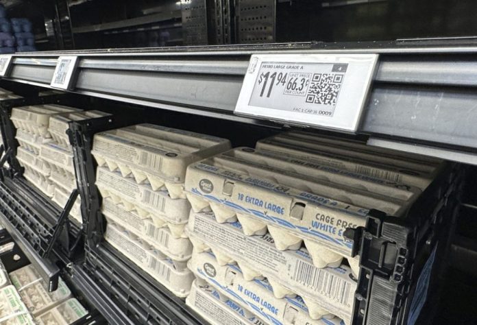 DOJ sues egg producer over ‘manipulated’ prices