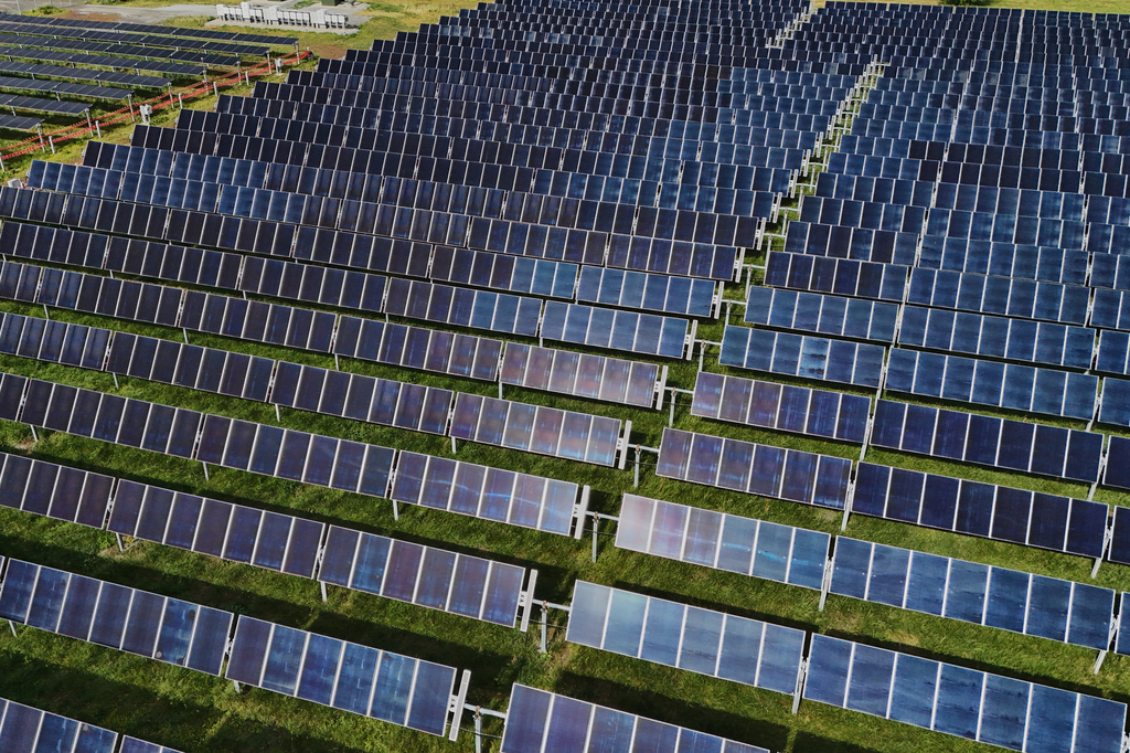 Solar energy production overtakes coal despite regulation changes: Report