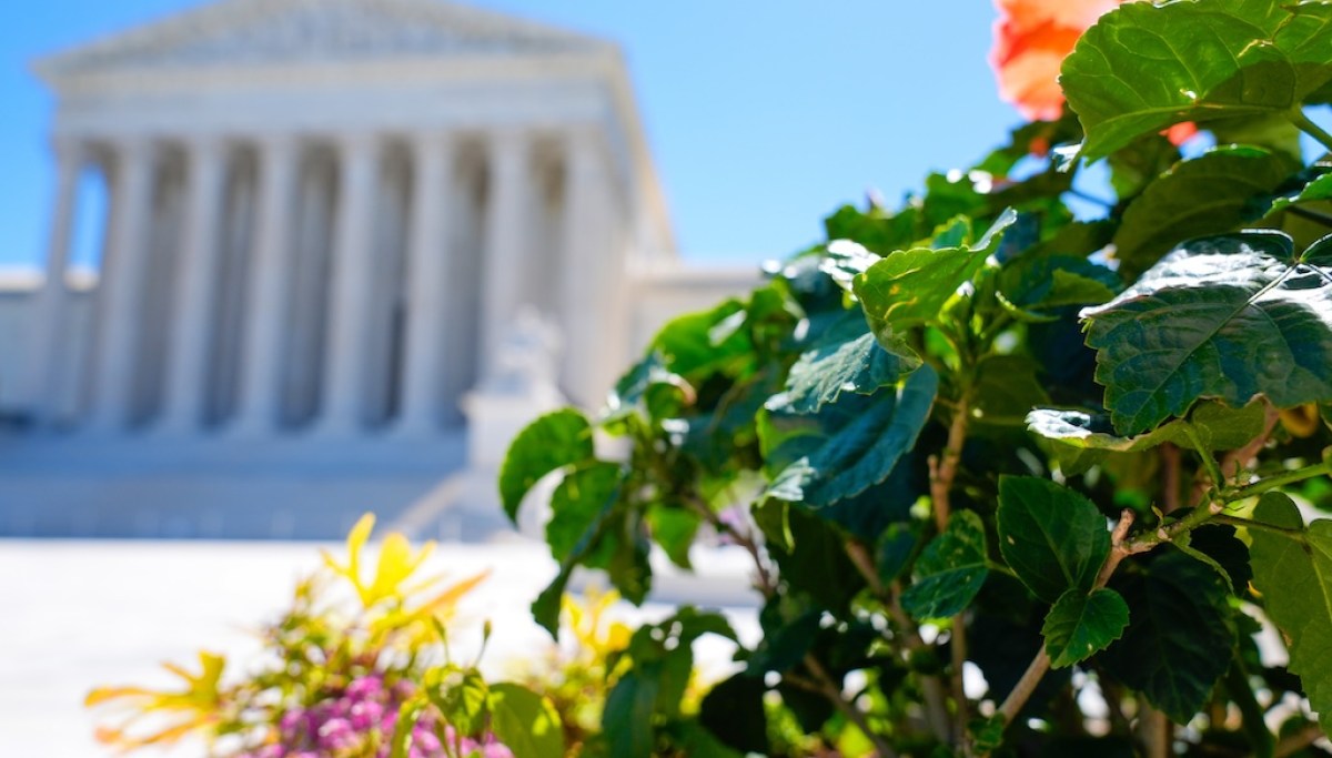 Supreme Court urged to block Texas app store age verification law