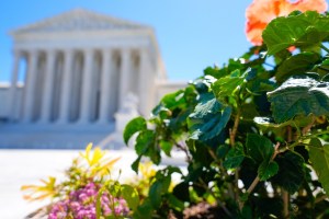 Supreme Court urged to block Texas app store age verification law