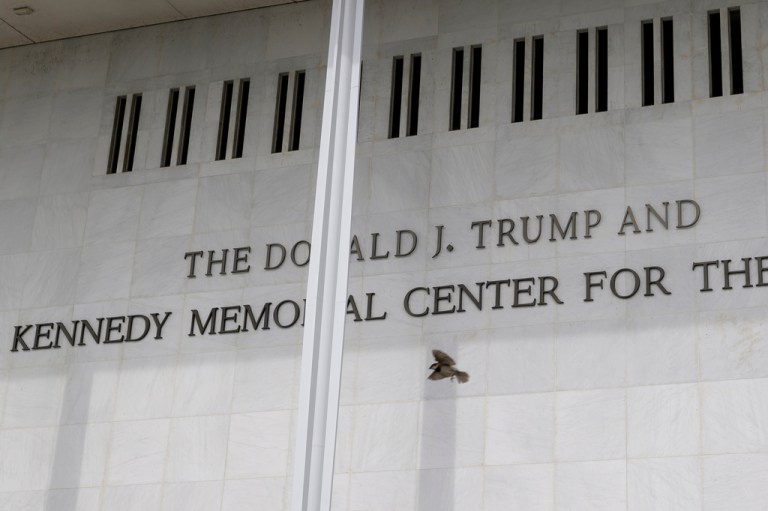 A bird takes flight in front of The John. F. Kennedy Center for the Performing Arts.