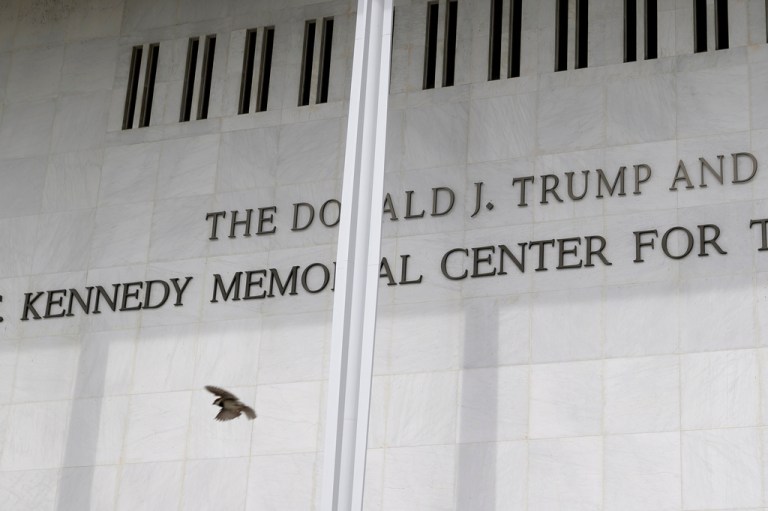 A bird takes flight in front of The Kennedy Center.