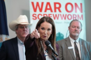 How screwworm outbreak became a partisan blame game