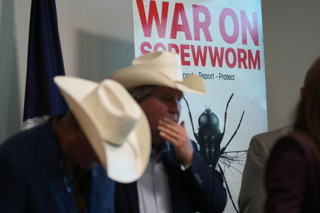 Senate Democrats push USDA to boost efforts targeting ‘evolving’ screwworm outbreak