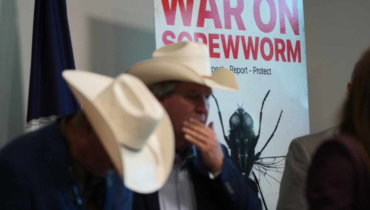 Senate Democrats push USDA to boost efforts targeting 'evolving' screwworm outbreak