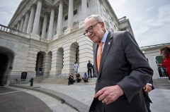 New York socialist surge reveals warning signs for Schumer
