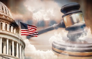 The business of suing the federal government