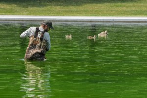 WATCH LIVE: Crew cleans Reflecting Pool after algae turned water green