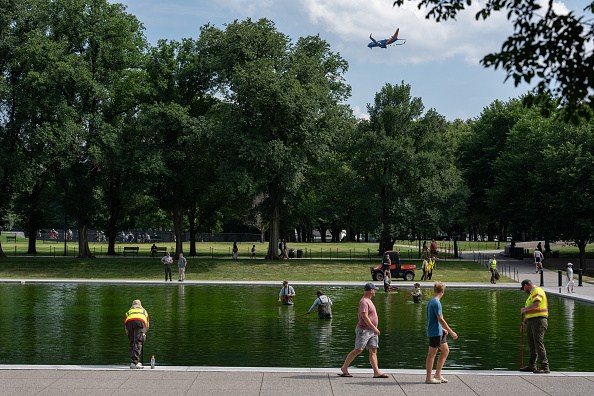 Lincoln Memorial reflecting pool with green algae